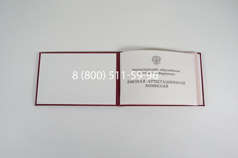 Диплом доктора наук 1995-2006 года в Владимире Диплом доктора наук 1995-2006 года в Владимире