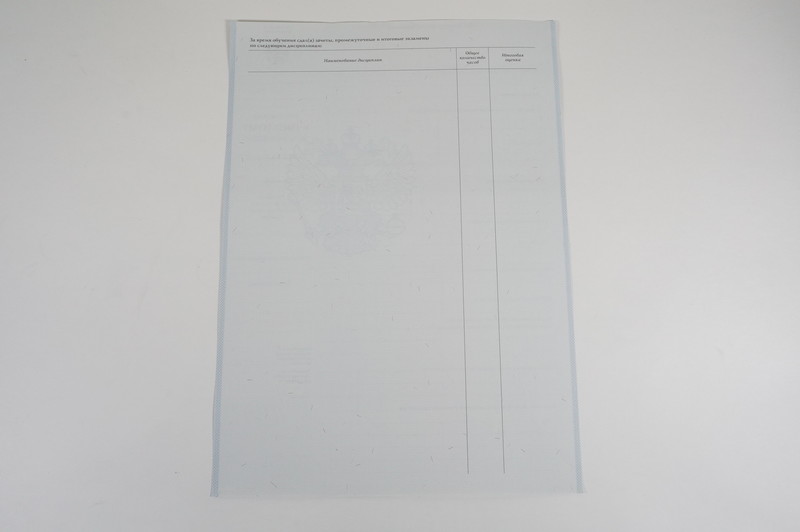 Диплом о начальном образовании 2007-2009 годов в Владимире Диплом о начальном образовании 2007-2009 годов в Владимире