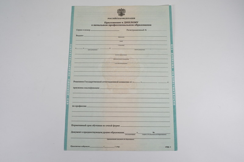Диплом о начальном образовании  2010-2024 годов в Владимире