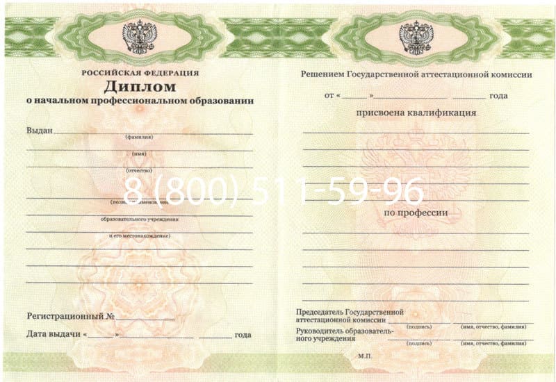 Купить Диплом о начальном образовании  2010-2024 годов в Владимире